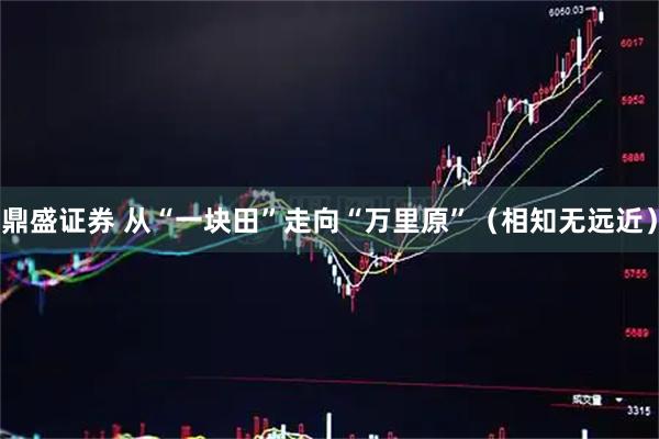 鼎盛证券 从“一块田”走向“万里原”(相知无远近)